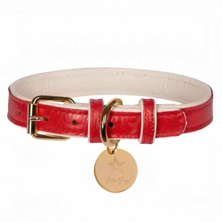 PoisePup Luxe Elegance: Leather Dog Collar