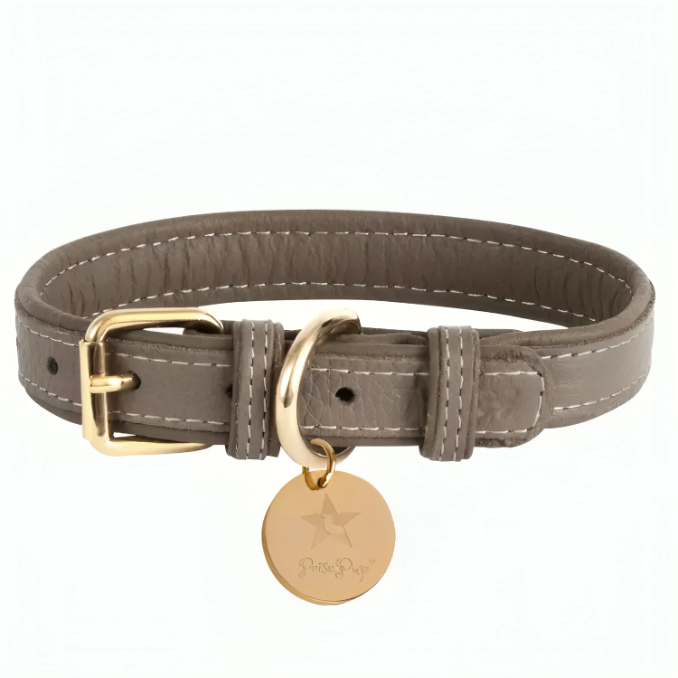 PoisePup Luxe Elegance: Leather Dog Collar