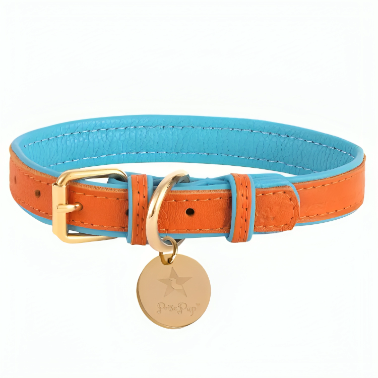 PoisePup Luxe Elegance: Leather Dog Collar