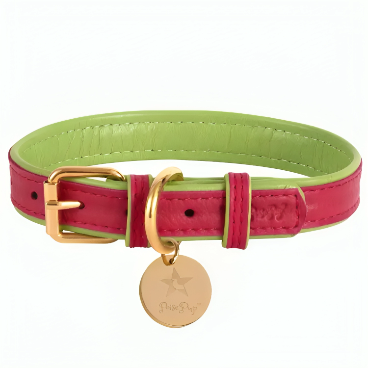 PoisePup Luxe Elegance: Leather Dog Collar