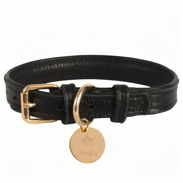 PoisePup Luxe Elegance: Leather Dog Collar