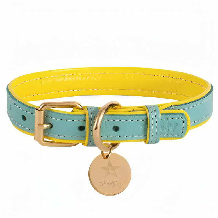 PoisePup Luxe Elegance: Leather Dog Collar