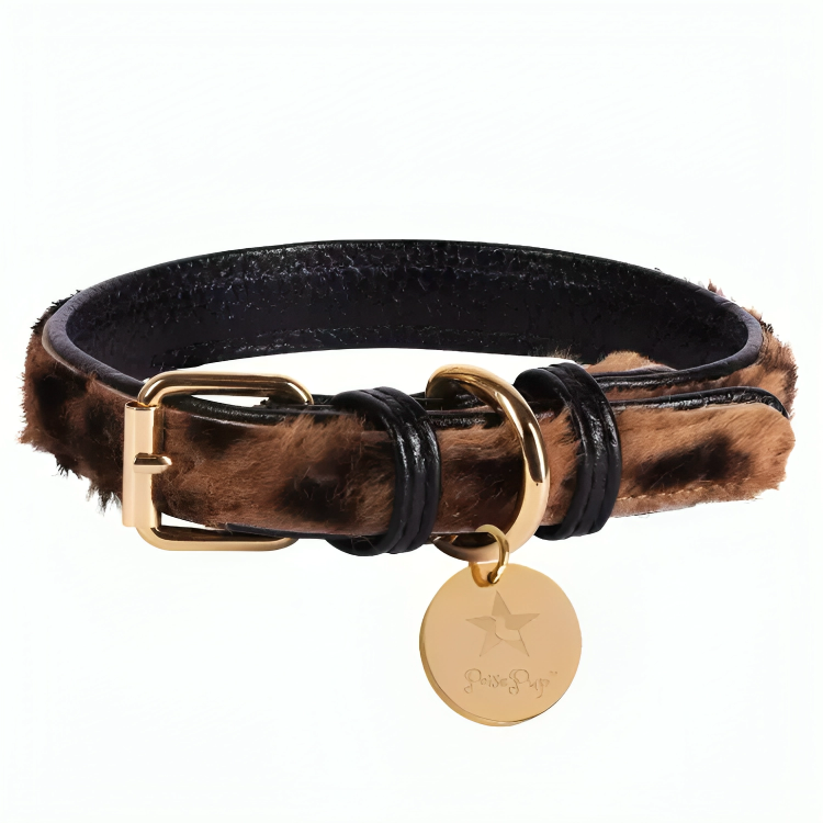 PoisePup Luxe Elegance: Leather Dog Collar