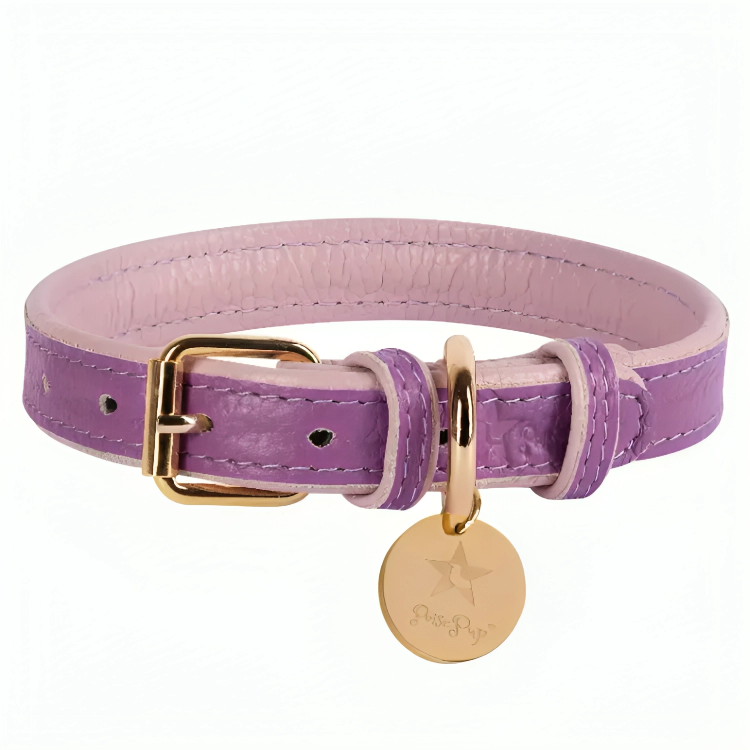 PoisePup Luxe Elegance: Leather Dog Collar