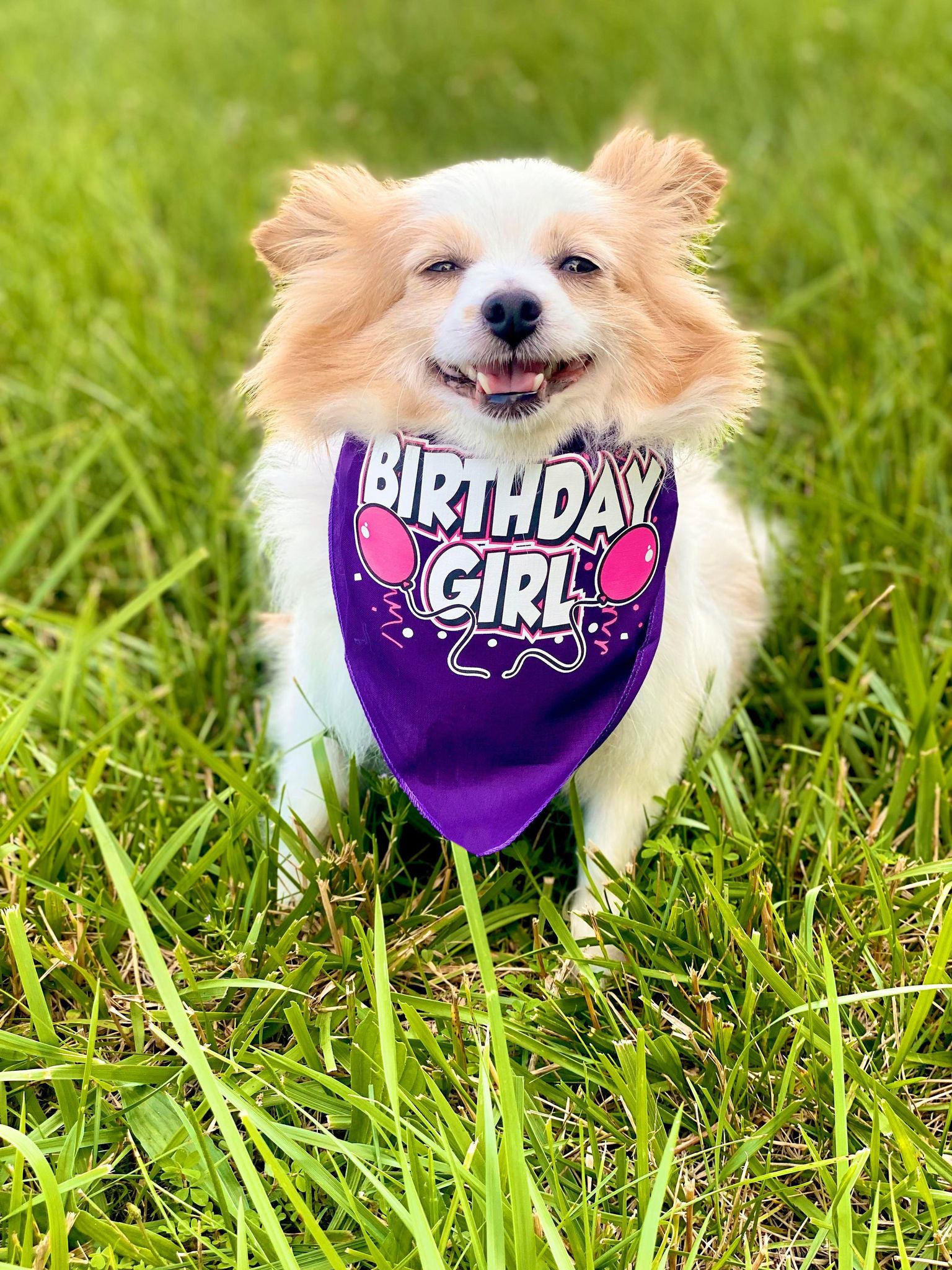 Celebration Paws: 'Birthday Girl' & 'Birthday Boy' Pet Bandanas – Perfect for Your Furry Friend's Special Day