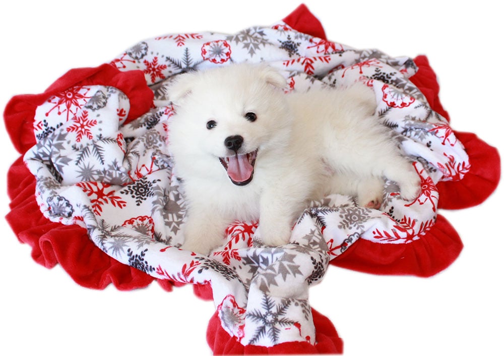 Festive Warmth: Holiday Cheer Christmas Blankets