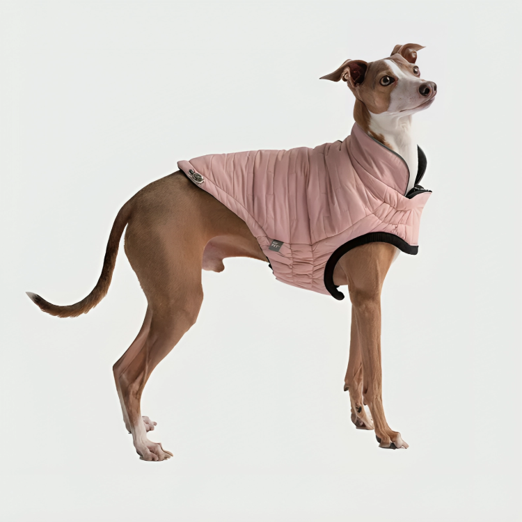 GF Pet's Chalet Jacket: Reversible and Adjustable ElastoFit Design