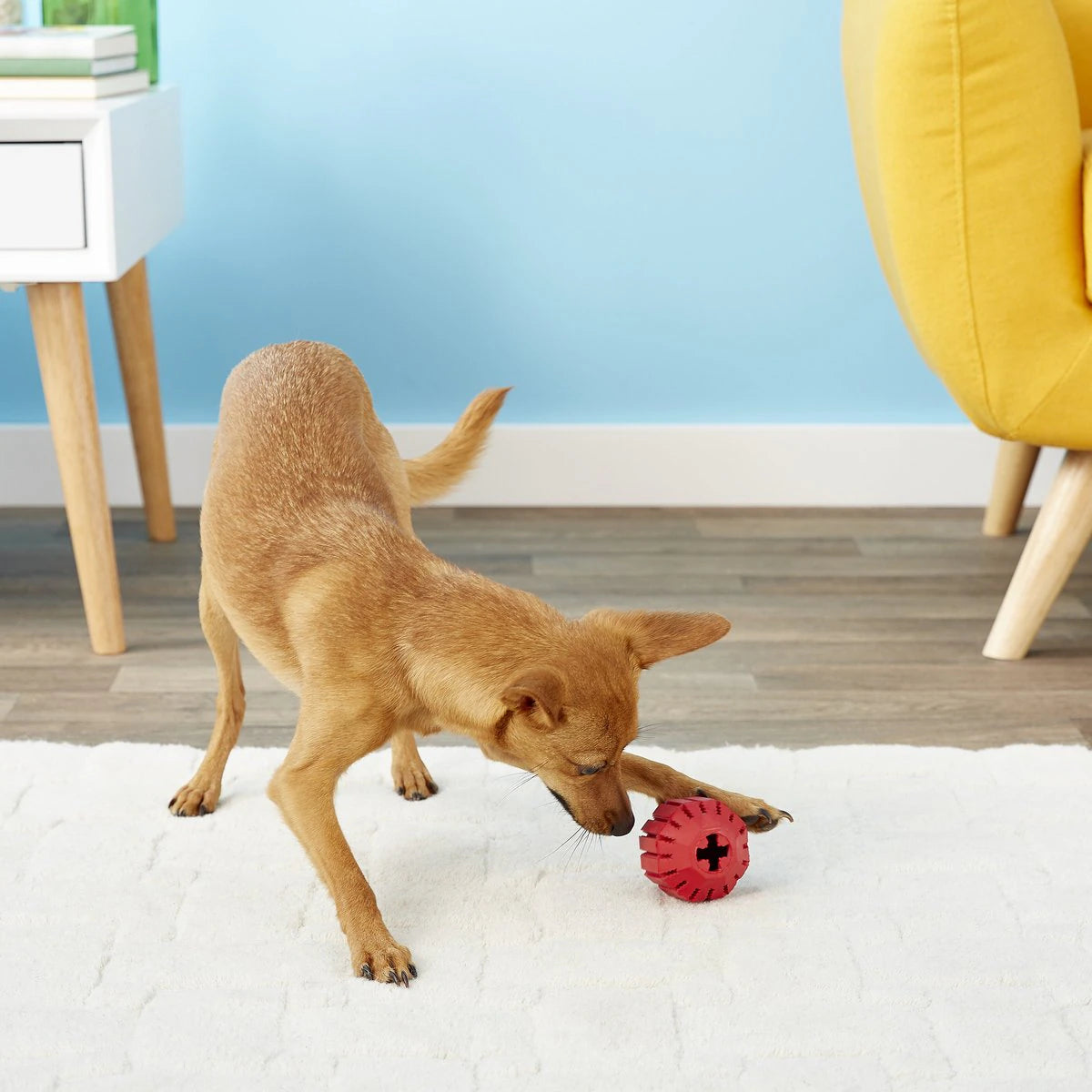 KONG Stuff-A-Ball - Durable Dog Toy for Chewing, Treat Dispensing, and Dental Health