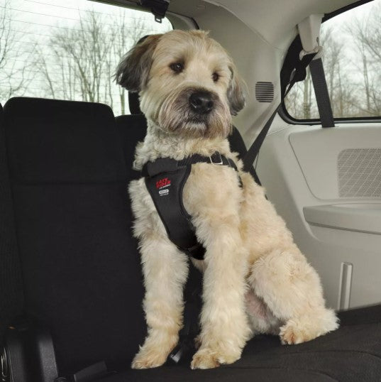 Dog Travel Car Harness - Adjustable Safety Seat Belt System & Walking Harness for Dogs