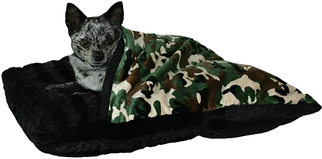 Snuggle Haven: The Ultimate Pet Pocket Bed for Cozy Companions