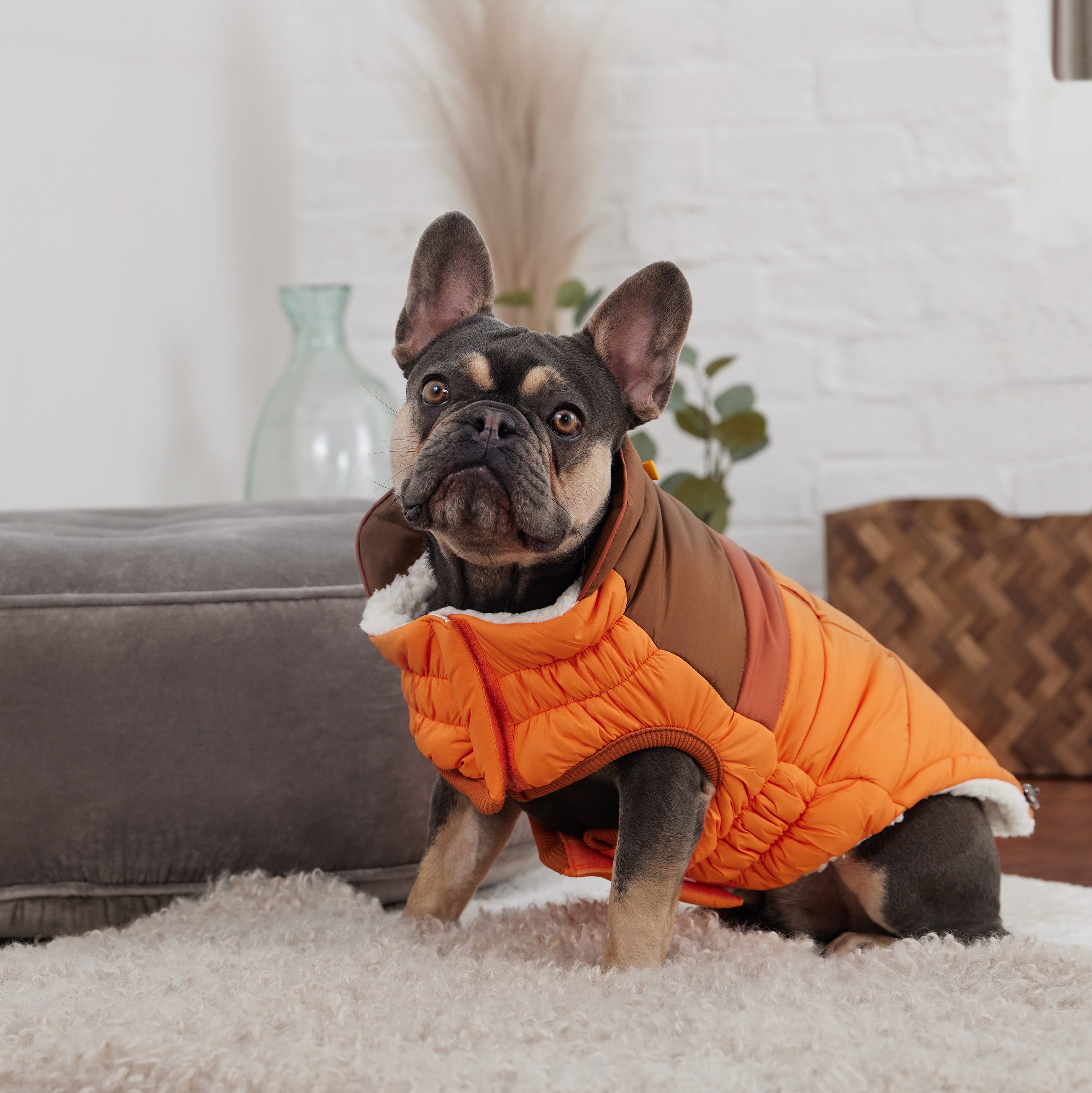 Orange Campfire Puffer Jacket – Ultra Puff, Warm, & Stylish