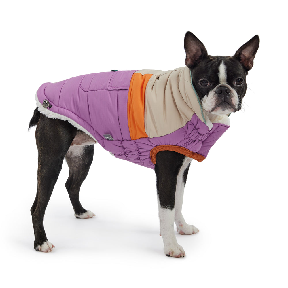 Purple Campfire Puffer Jacket – Ultra Puff, Warm, & Stylish