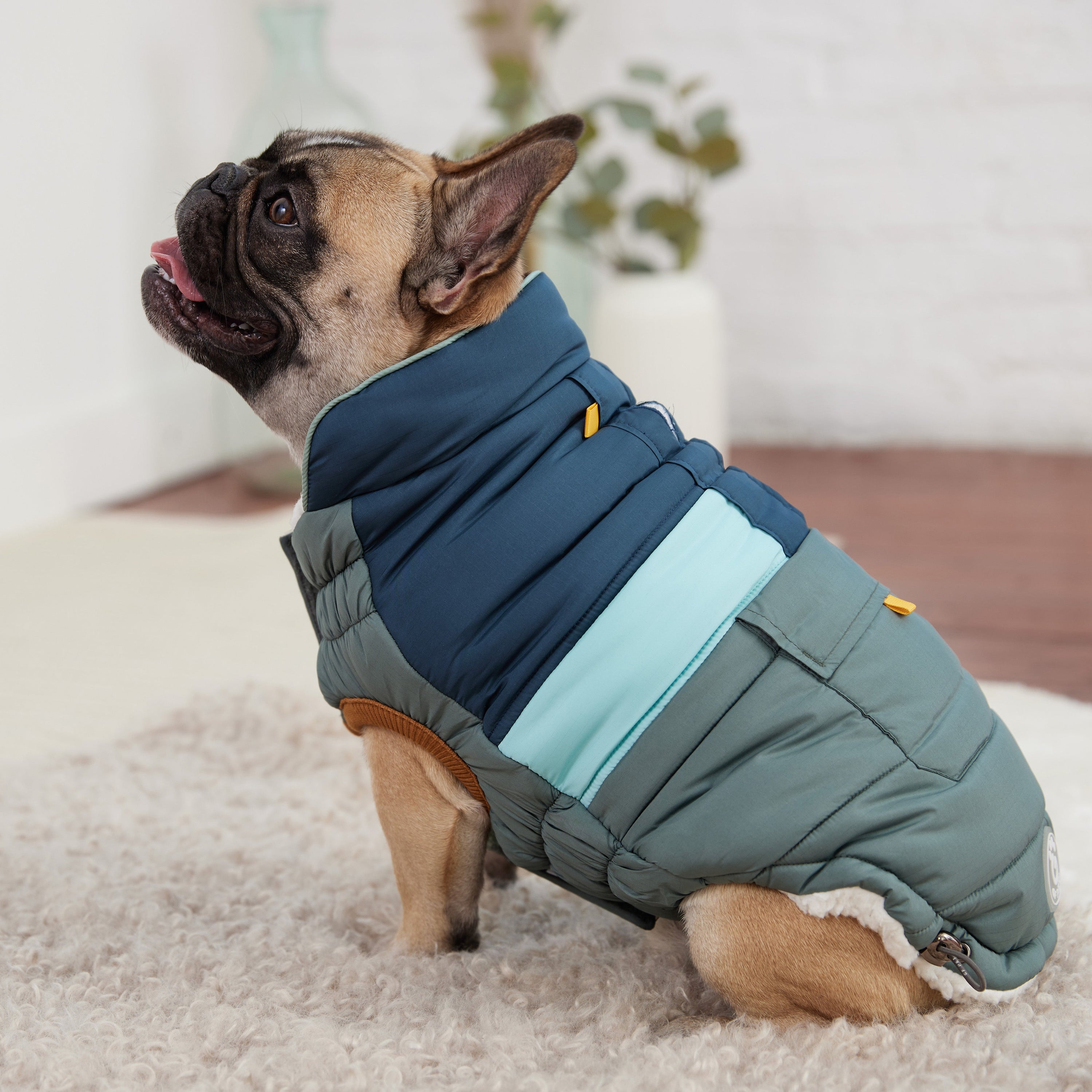 Sage Campfire Puffer Jacket – Ultra Puff, Warm, & Stylish