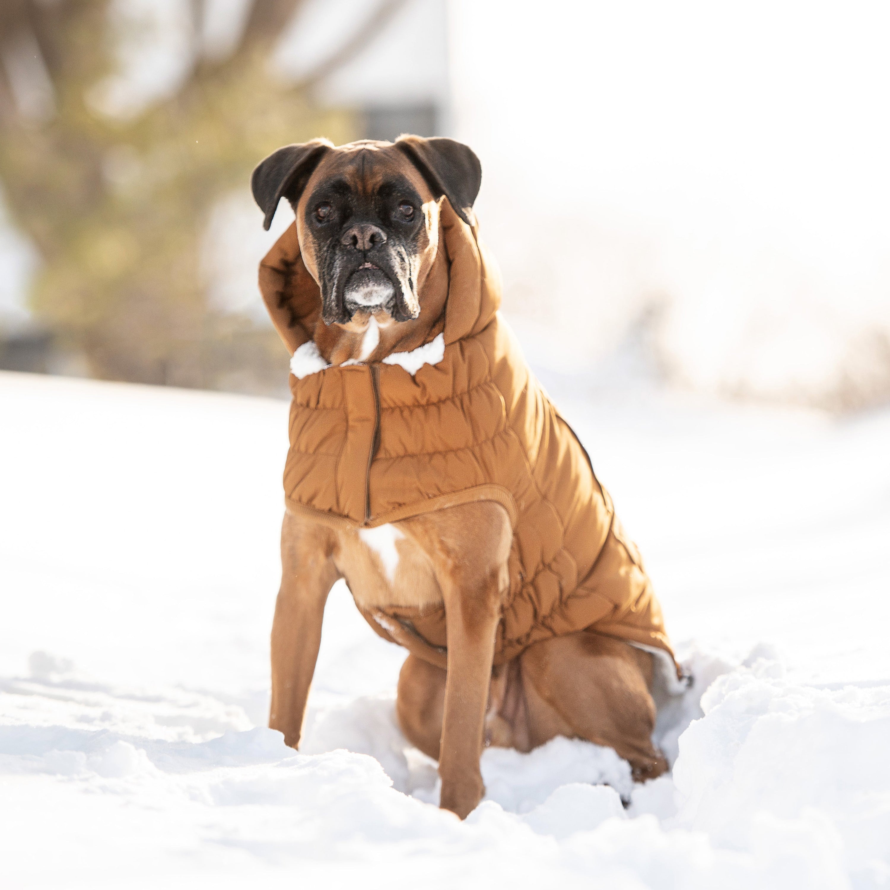 Wood Arctic Dog Parka - Cozy Winter Coat for Pets