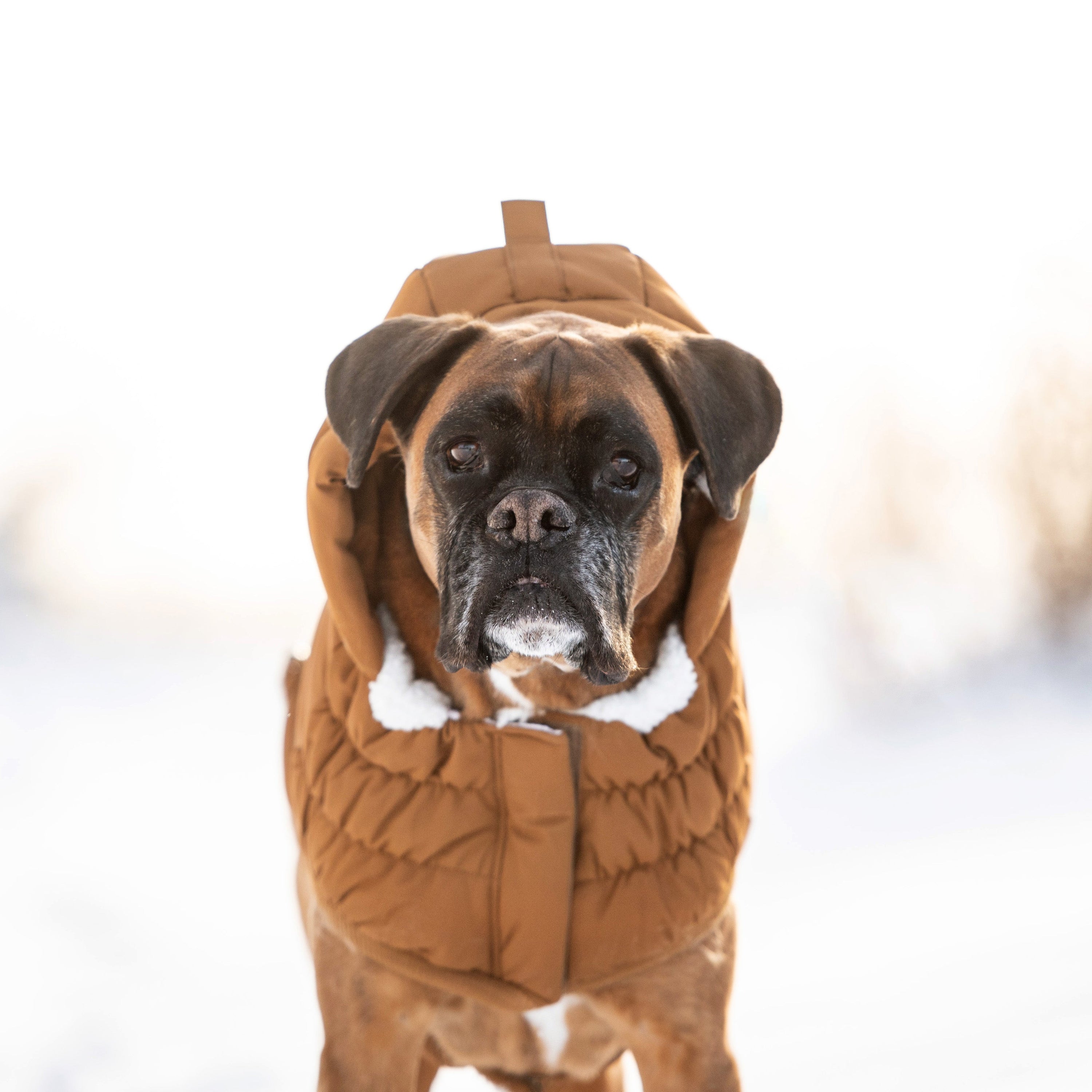 Wood Arctic Dog Parka - Cozy Winter Coat for Pets