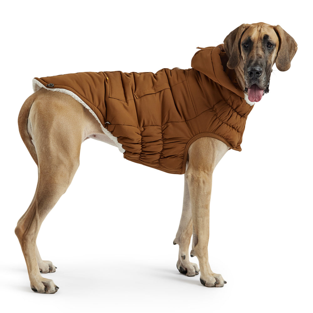 Wood Arctic Dog Parka - Cozy Winter Coat for Pets