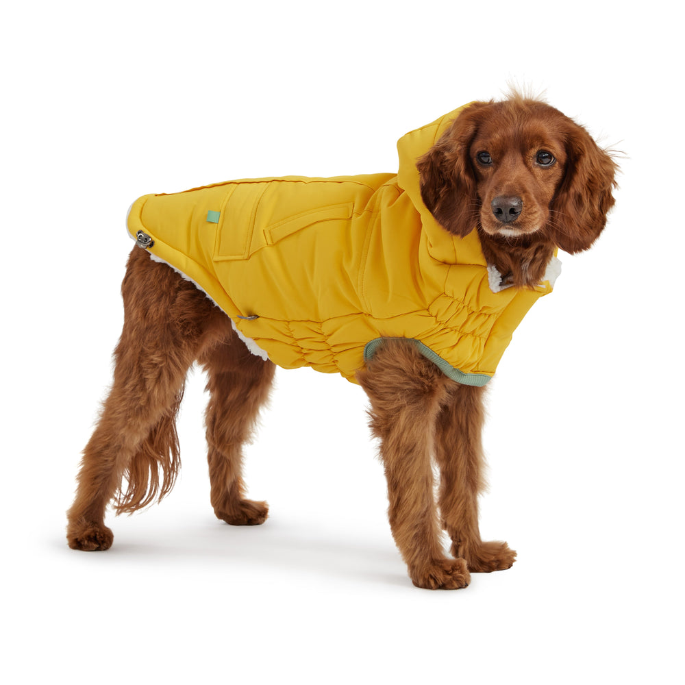 Yellow Arctic Dog Parka - Cozy Winter Coat for Pets