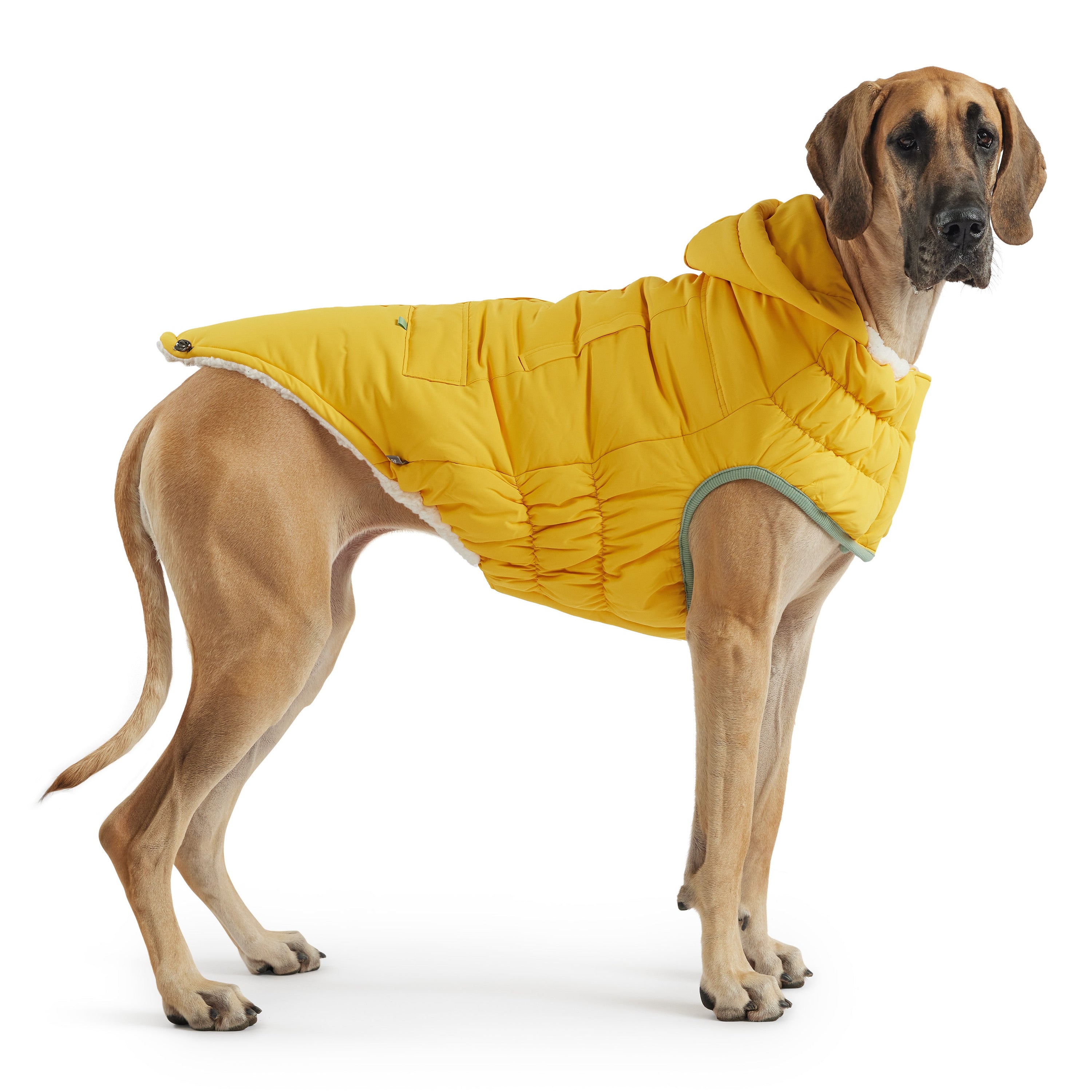 Yellow Arctic Dog Parka - Cozy Winter Coat for Pets