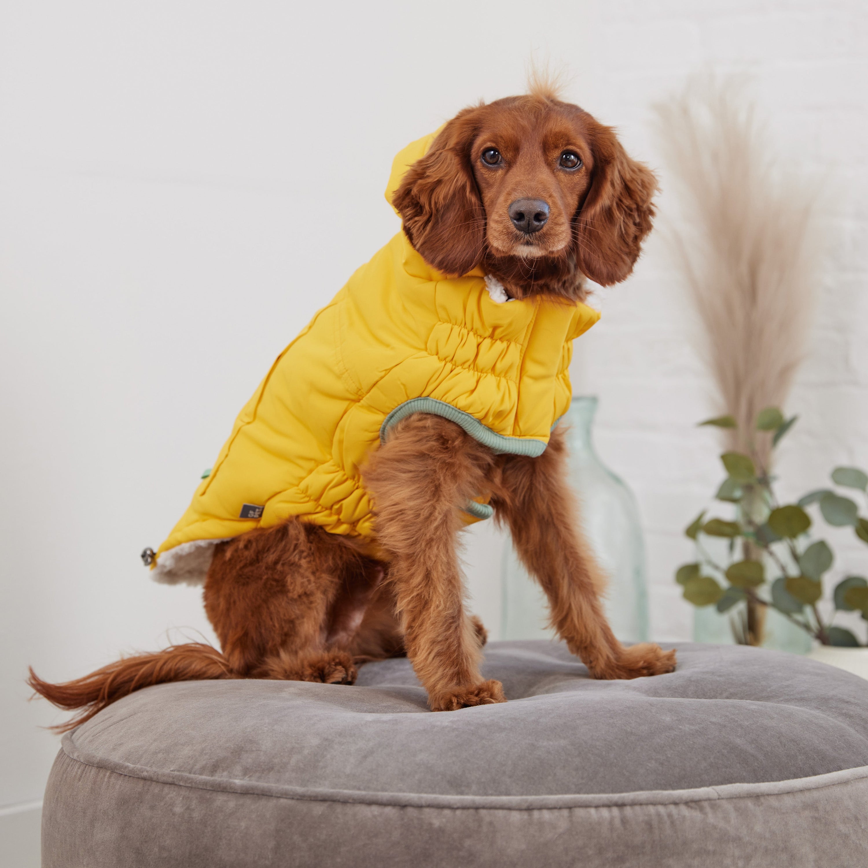 Yellow Arctic Dog Parka - Cozy Winter Coat for Pets