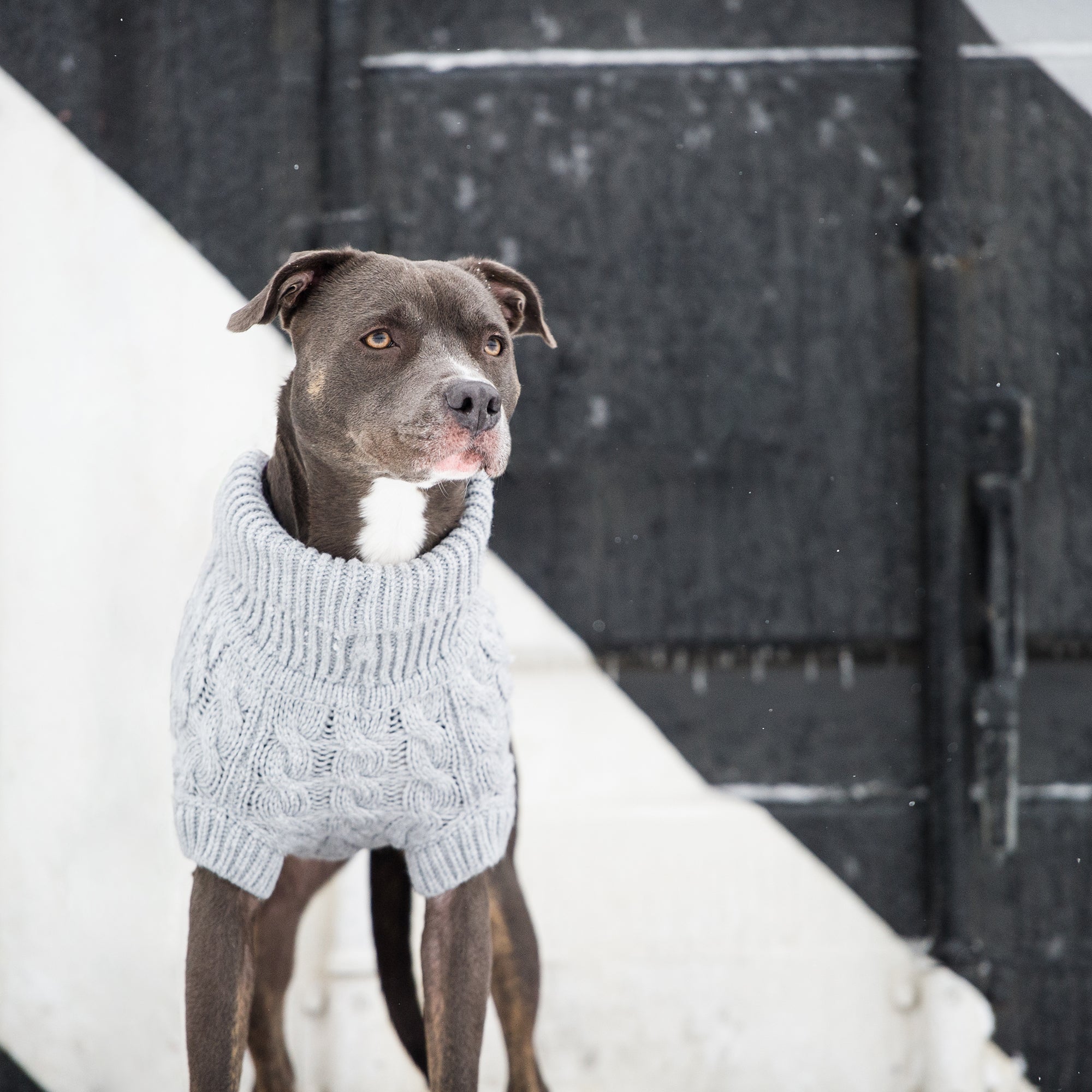 Chalet Sweater - Grey | Cozy & Stylish Winter Essential