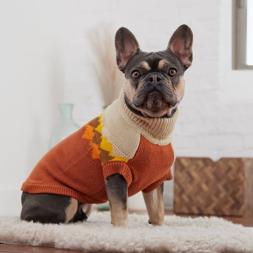 Cozy Fireside Chili Dog Sweater - Warm Knit Turtleneck for Pets