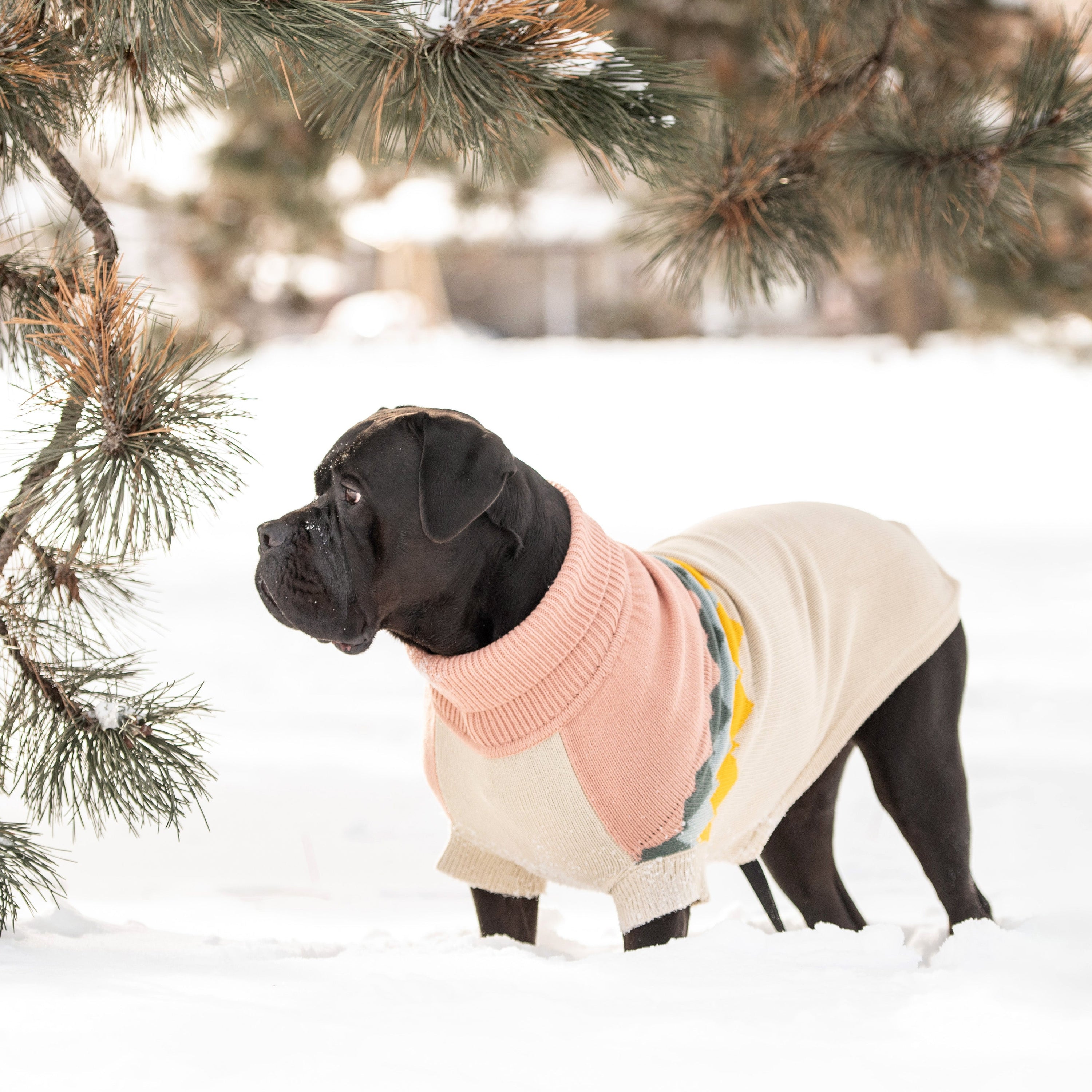 Cozy Fireside Clay Dog Sweater - Warm Knit Turtleneck for Pets