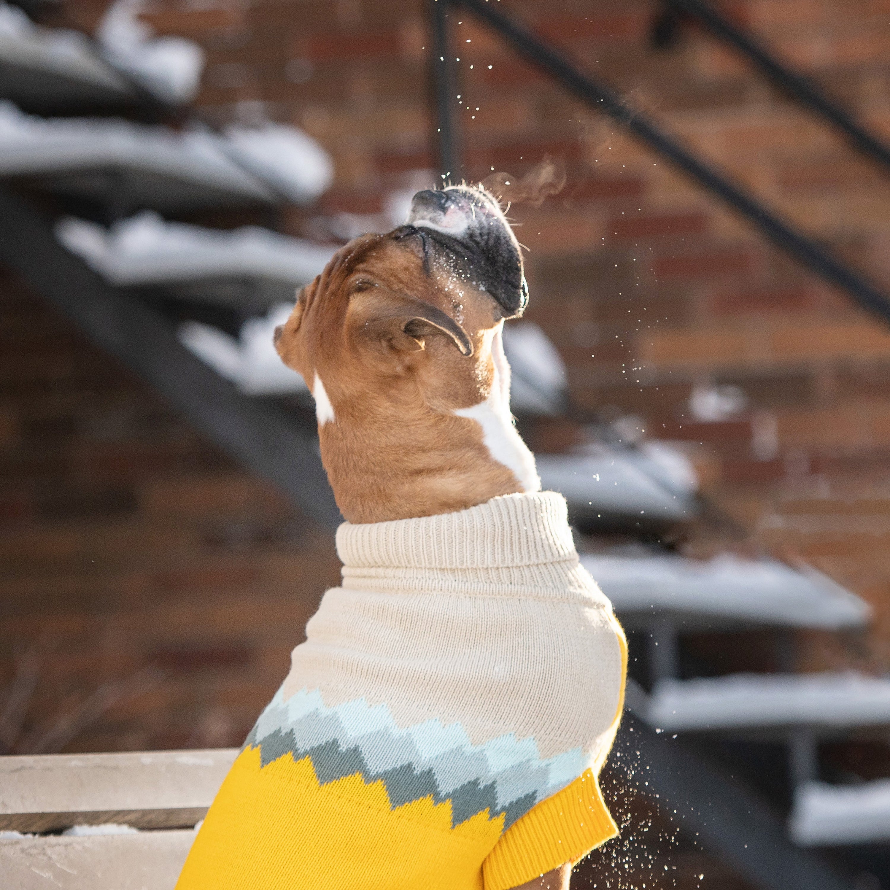 Cozy Fireside Yellow Dog Sweater - Warm Knit Turtleneck for Pets