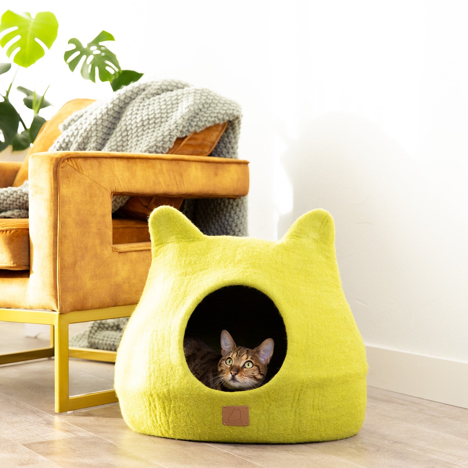 Citrus Green Ear-Styled Cat Cave | Vibrant Pet Retreat