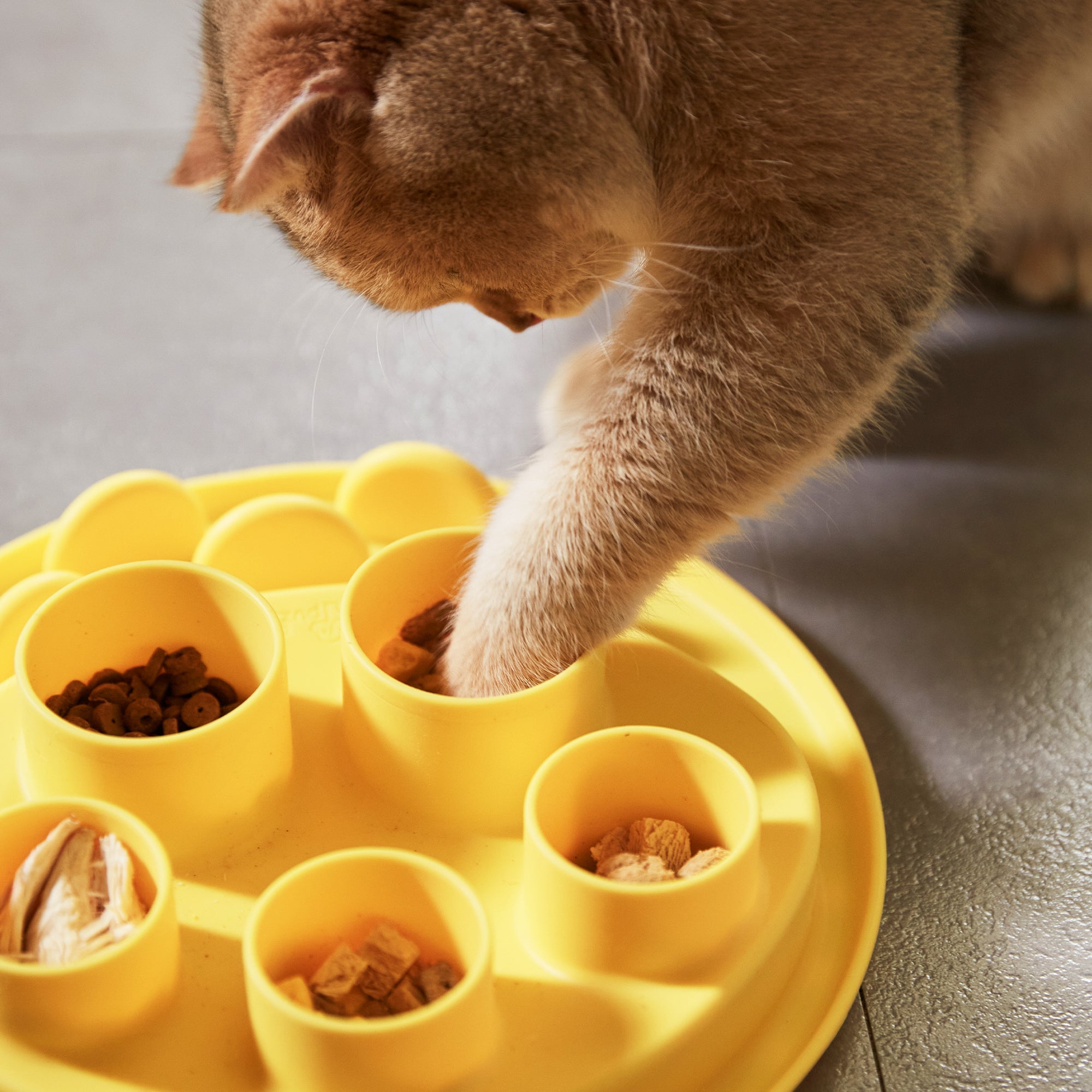 Puzzle Digger Interactive Cat Feeder – Stimulates Hunting Instincts | Wheat Yellow