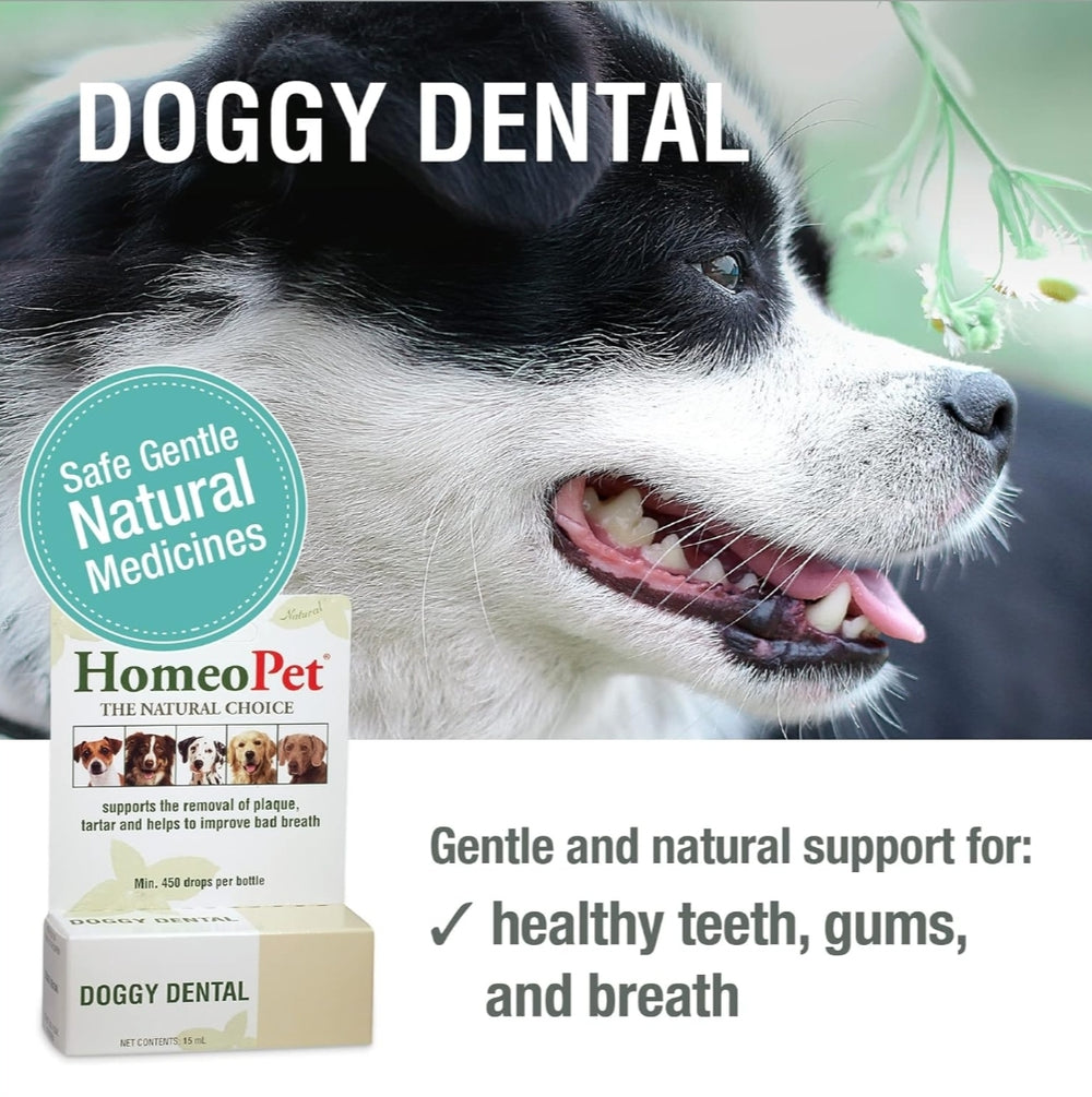 HOMEOPET Doggy Dental 15ml: Effective Oral Care Solution for Dogs