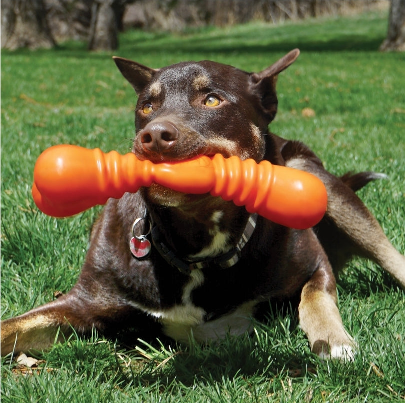 KONG SqueakStix Wigglerz: The Ultimate Durable, Safe, and Fun Fetch Toy for Dogs