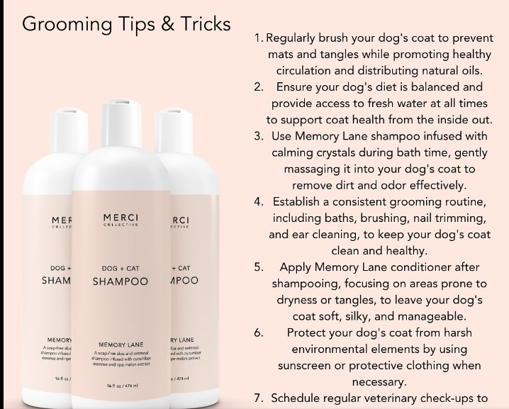 Merci Collection: Crystalized Memories Pet Shampoo