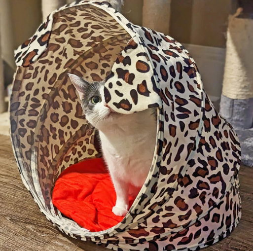 Discover the Sleep Zone Kitty Cabana: The Perfect Cozy Hideaway for Cats