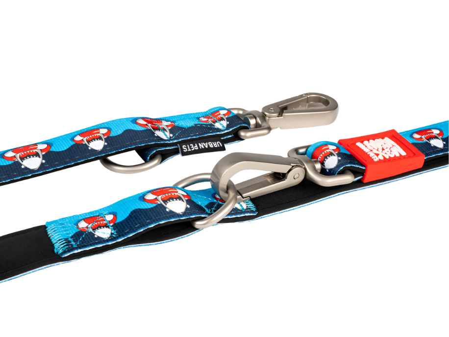 MAX& MOLLY Frenzy The Shark Neoprene Dog Leash: Comfort and Style for Everyday Walks