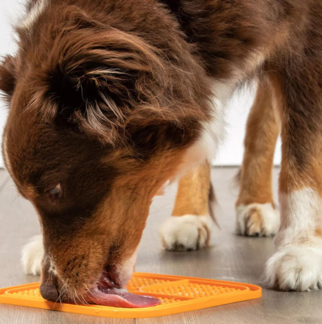 Boredom Busters Orange Slow Feeder Bowl – Anti-Gulping Dog Feeder