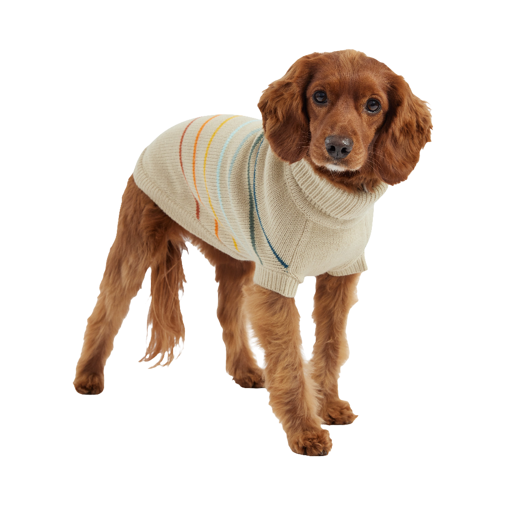 Arctic Sweater - Sand | Stylish & Cozy Dog Sweater for Winter