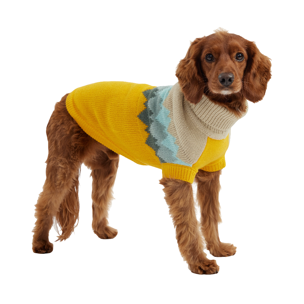 Cozy Fireside Yellow Dog Sweater - Warm Knit Turtleneck for Pets