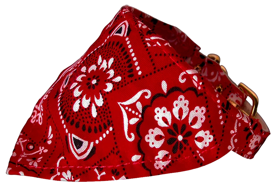 Western Group Bandana Collars for Pets & Dogs