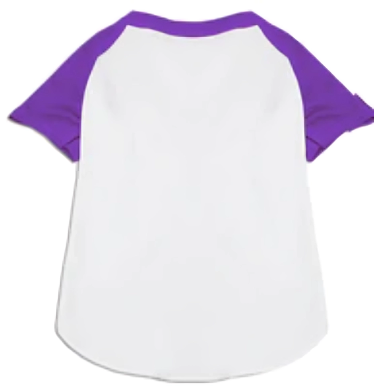 Wiggies' Customizable Pet Raglan Baseball Team Spirit Shirt with "Names & Numbers"