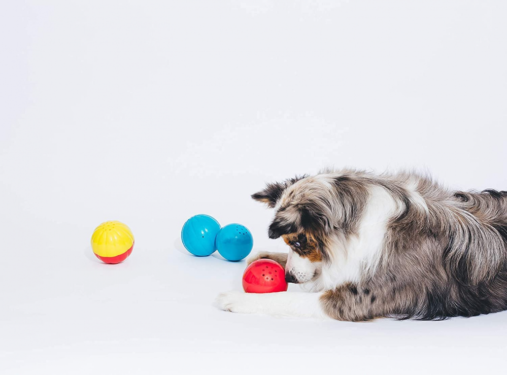 Pet Qwerks Animal Sounds Ball: Interactive Dog Toy for Endless Fun and Engagement