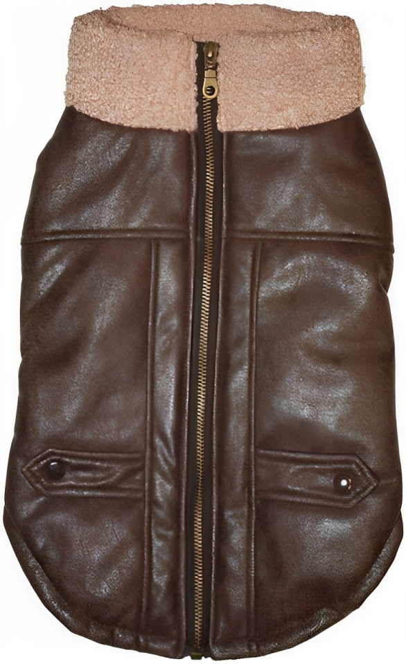 Stylish Brown Bomber Jacket for Trendy Pet