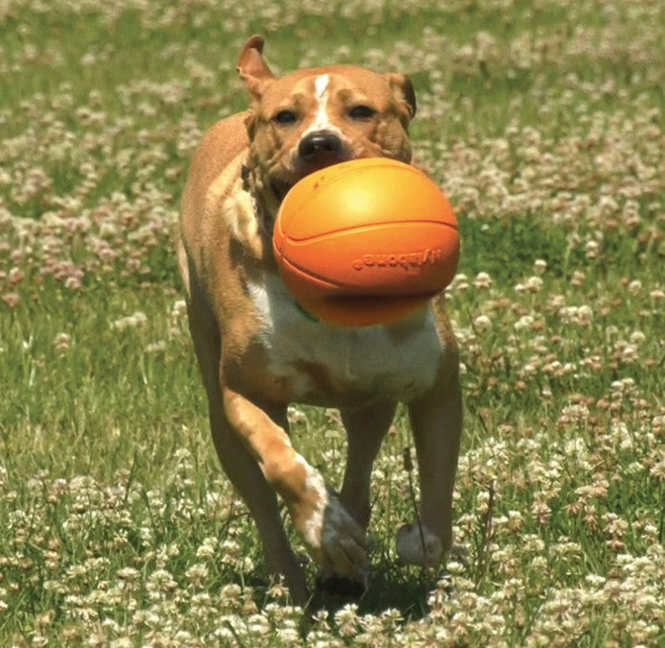 Nylabone Power Play B-Ball Gripz Dog Toy