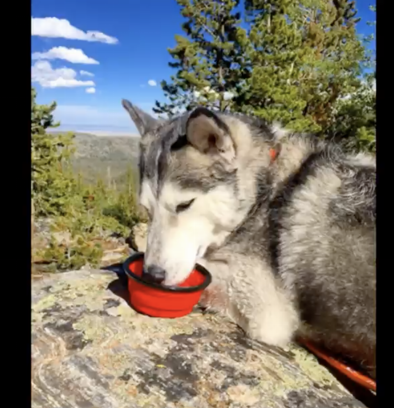 Compact and Portable Silicone Bowls for Travel: Easily Collapsible Design