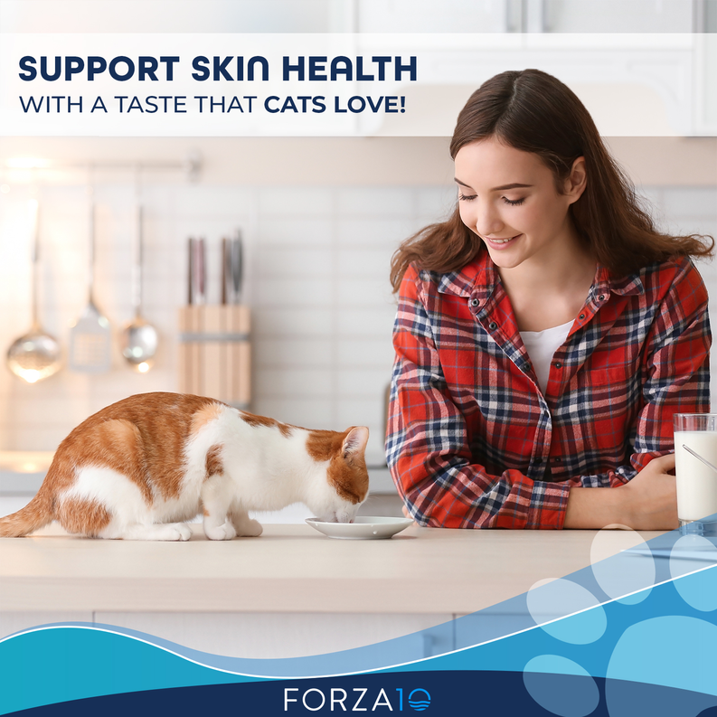 Forza10 Active Dermo: Advanced Skin & Coat Care Dry Cat Food