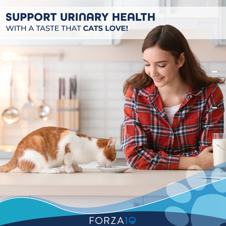 Forza10 Active Urinary Dry Cat Food