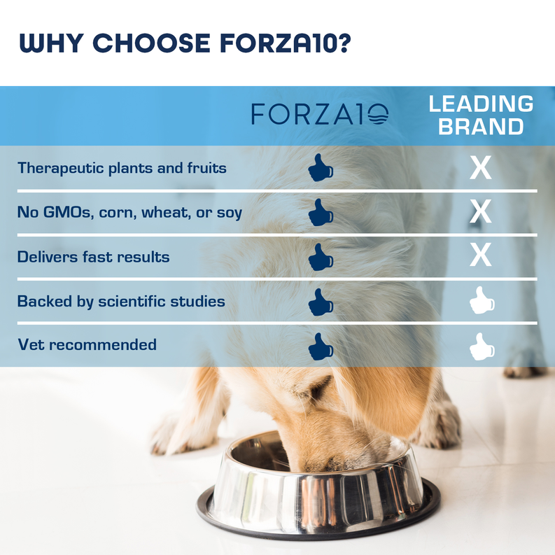 Forza10 Sensitive Joint Plus Dog Food