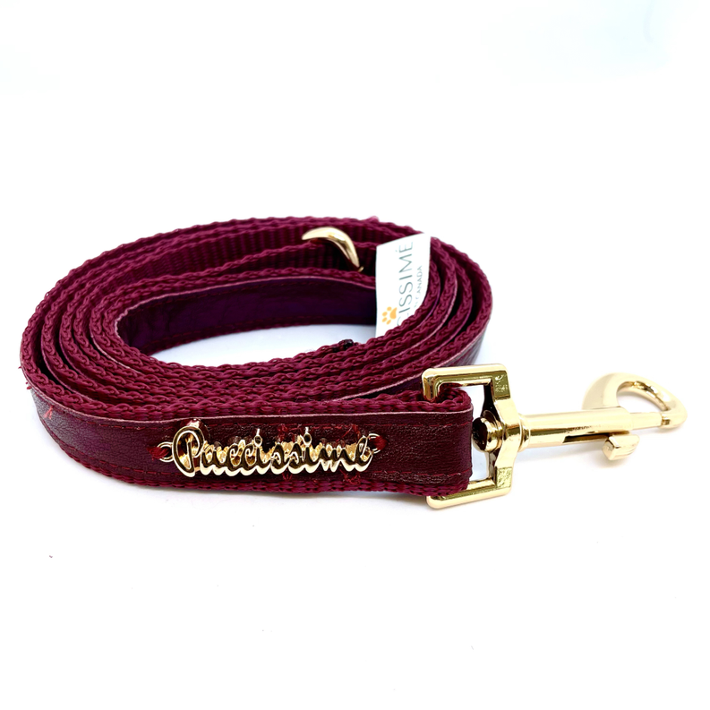 Premium Red Wine-Inspired Dog Leash: Durable & Stylish Pet Accessory