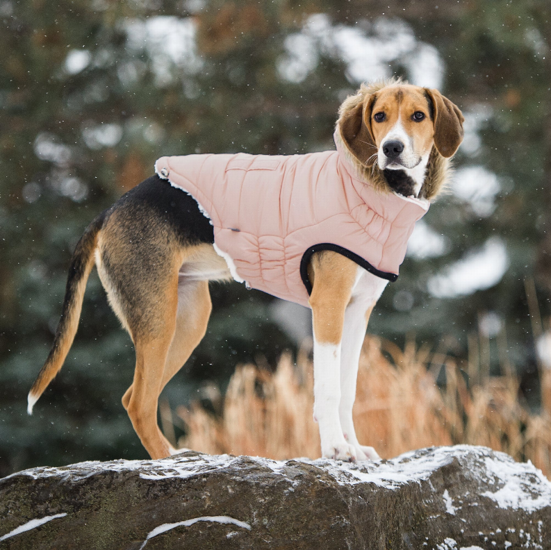 GF Pet Urban ElastoFit Dog Parka: Chic and Comfortable